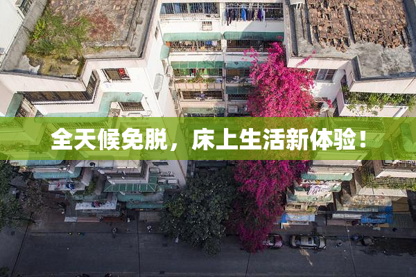 全天候免脱，床上生活新体验！