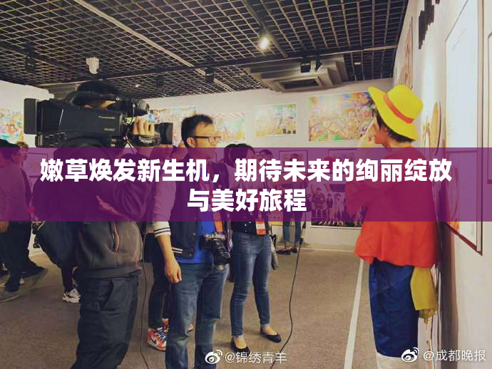 嫩草焕发新生机，期待未来的绚丽绽放与美好旅程