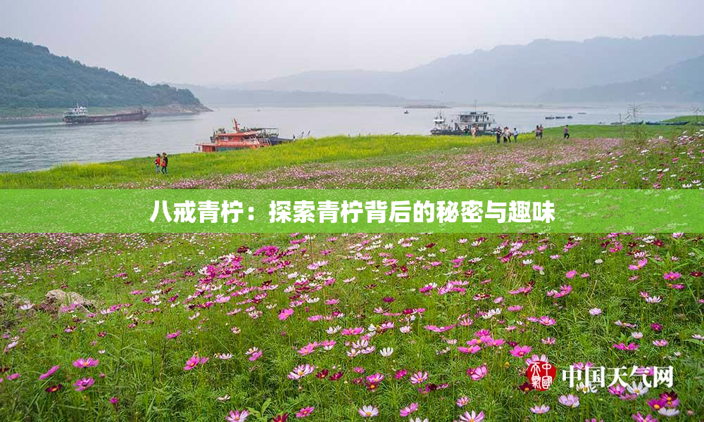 八戒青柠：探索青柠背后的秘密与趣味