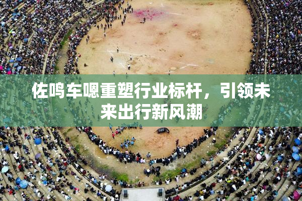 佐鸣车嗯重塑行业标杆，引领未来出行新风潮