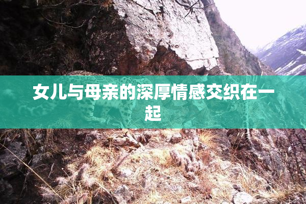 女儿与母亲的深厚情感交织在一起