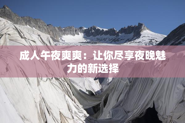 成人午夜爽爽：让你尽享夜晚魅力的新选择