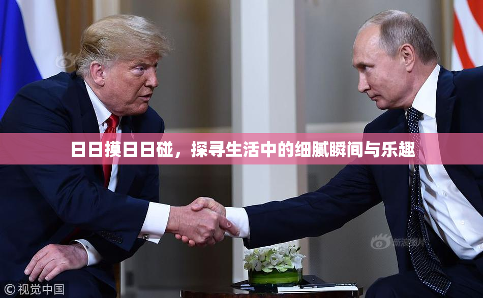 日日摸日日碰，探寻生活中的细腻瞬间与乐趣