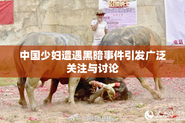 中国少妇遭遇黑暗事件引发广泛关注与讨论