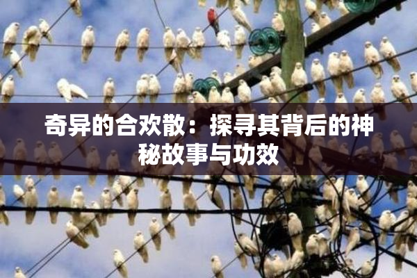 奇异的合欢散：探寻其背后的神秘故事与功效