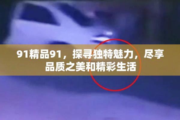 91精品91，探寻独特魅力，尽享品质之美和精彩生活