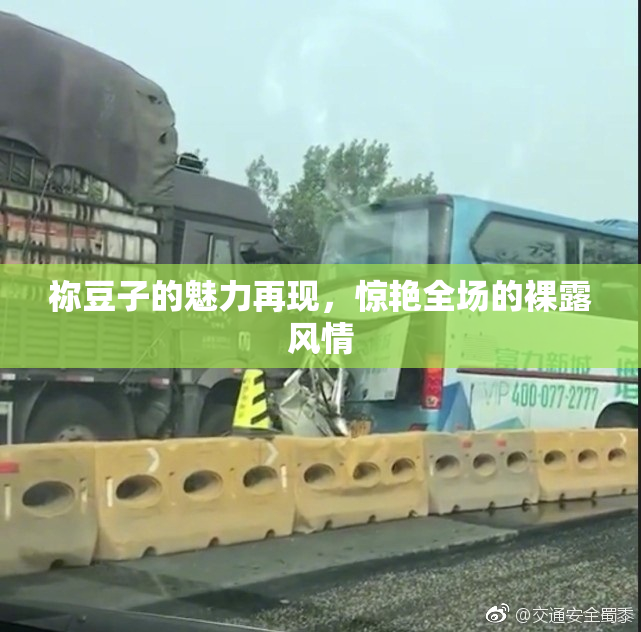祢豆子的魅力再现，惊艳全场的裸露风情