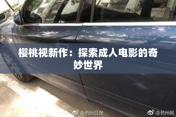 樱桃视新作：探索成人电影的奇妙世界