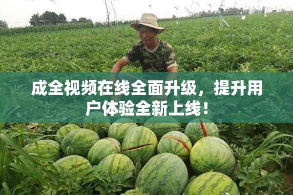 成全视频在线全面升级，提升用户体验全新上线！
