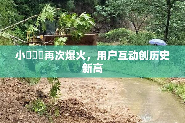 小藍視頻再次爆火，用户互动创历史新高