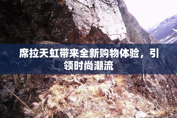 席拉天虹带来全新购物体验，引领时尚潮流