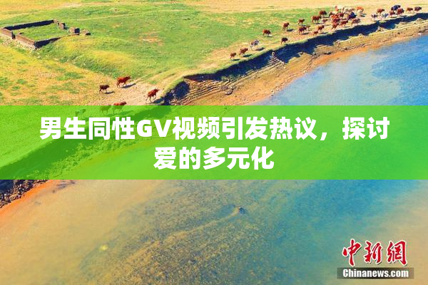 男生同性GV视频引发热议，探讨爱的多元化