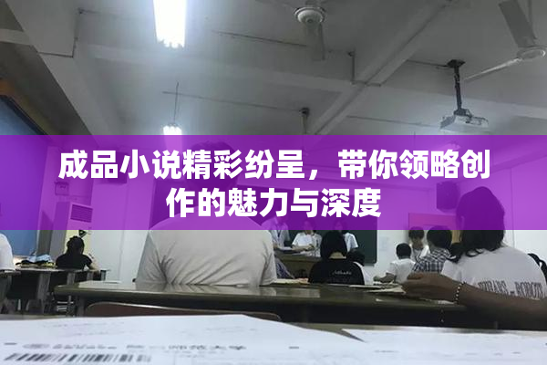 成品小说精彩纷呈，带你领略创作的魅力与深度