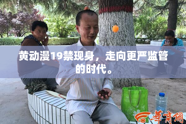 黄动漫19禁现身，走向更严监管的时代。
