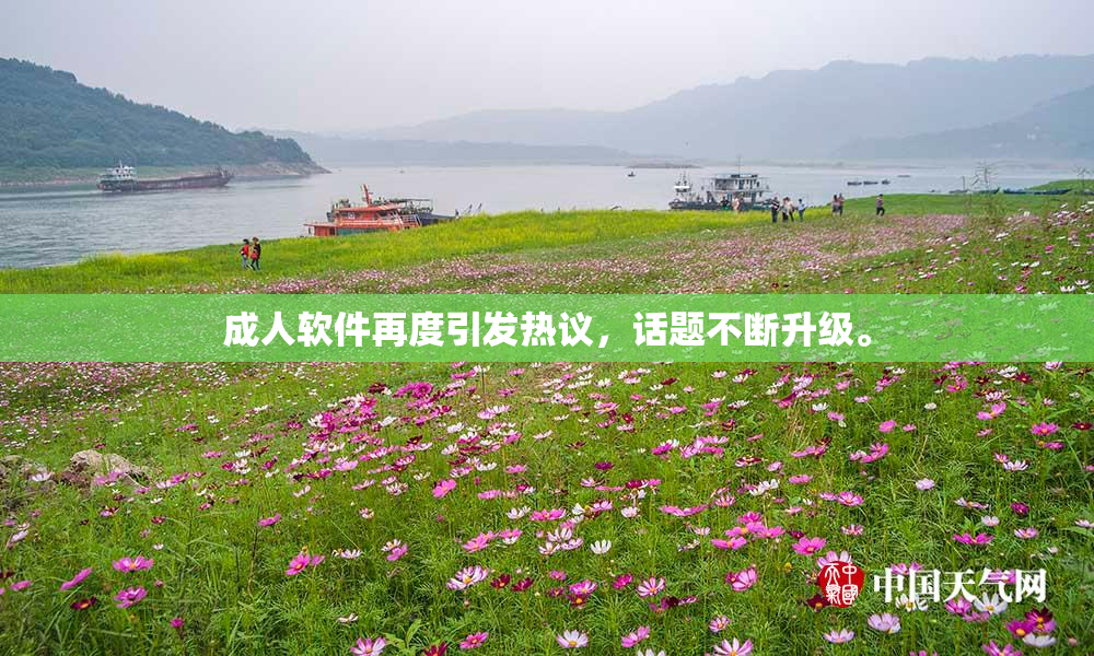 成人软件再度引发热议，话题不断升级。