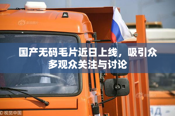 国产无码毛片近日上线，吸引众多观众关注与讨论