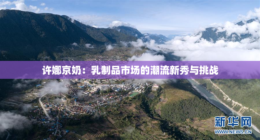 许娜京奶：乳制品市场的潮流新秀与挑战