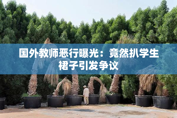 国外教师恶行曝光：竟然扒学生裙子引发争议