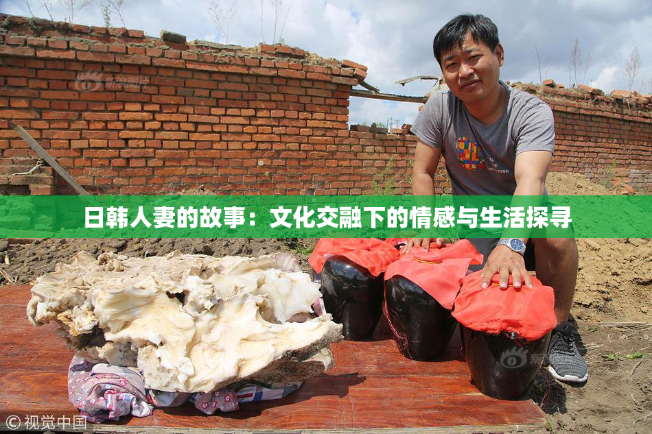 日韩人妻的故事：文化交融下的情感与生活探寻