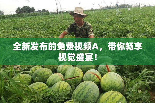 全新发布的免费视频A，带你畅享视觉盛宴！