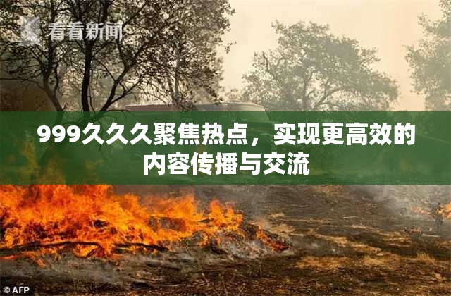 999久久久聚焦热点，实现更高效的内容传播与交流