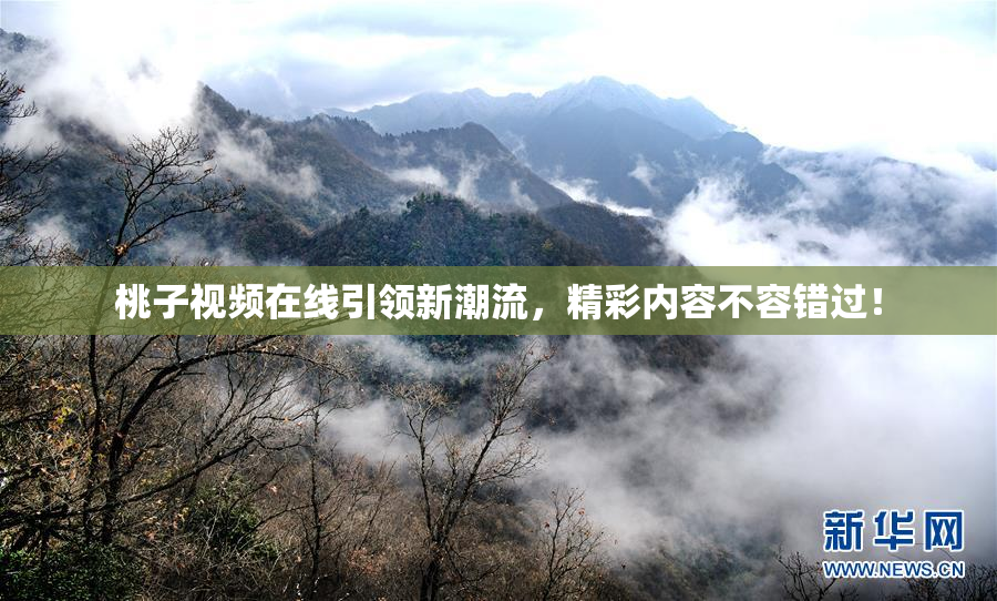 桃子视频在线引领新潮流，精彩内容不容错过！