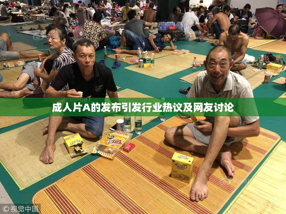 成人片A的发布引发行业热议及网友讨论