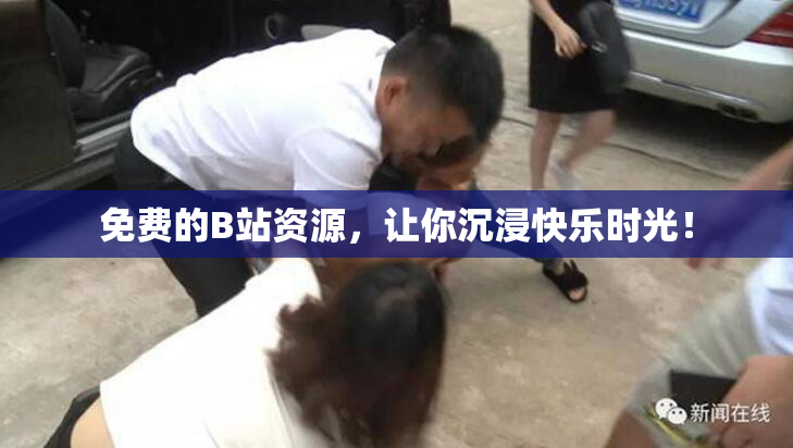 免费的B站资源，让你沉浸快乐时光！