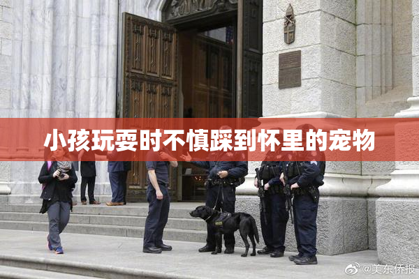小孩玩耍时不慎踩到怀里的宠物