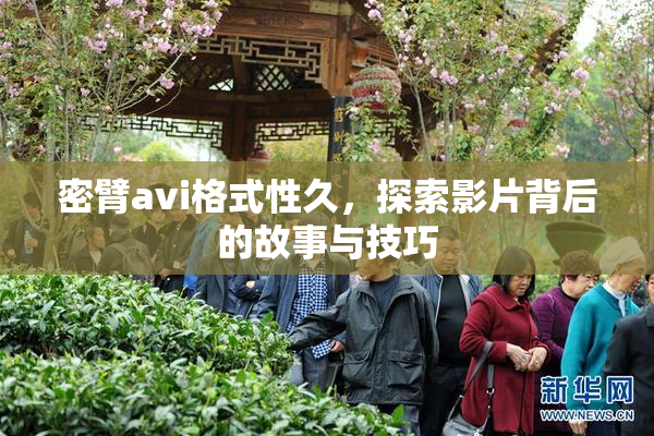 密臂avi格式性久，探索影片背后的故事与技巧