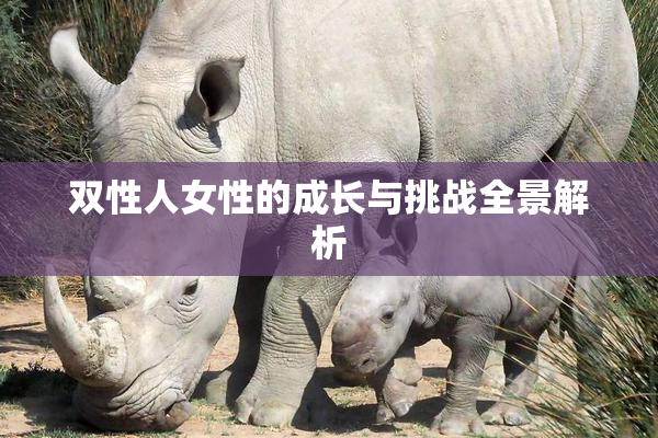 双性人女性的成长与挑战全景解析