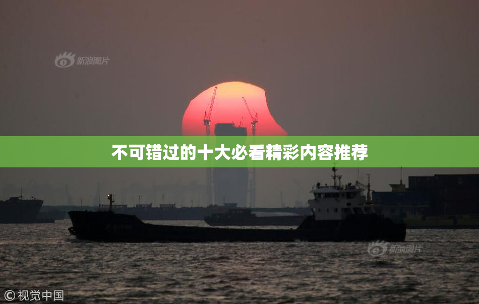 不可错过的十大必看精彩内容推荐