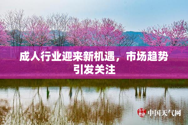 成人行业迎来新机遇，市场趋势引发关注