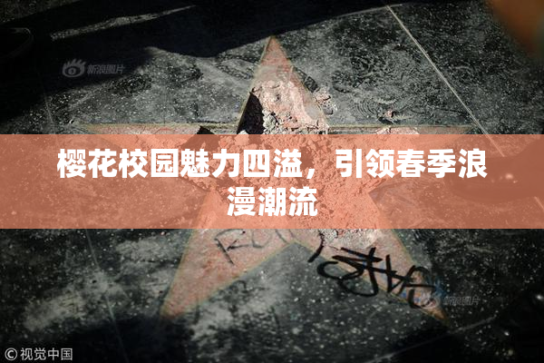 樱花校园魅力四溢，引领春季浪漫潮流