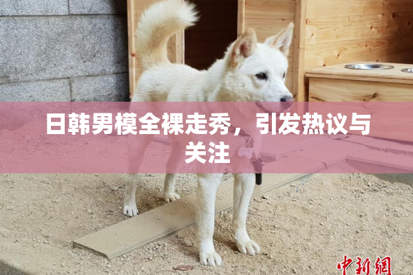 日韩男模全裸走秀，引发热议与关注
