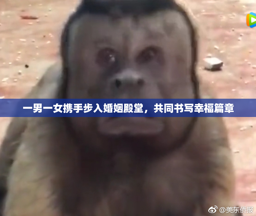 一男一女携手步入婚姻殿堂，共同书写幸福篇章