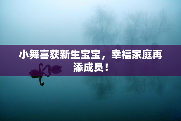 小舞喜获新生宝宝，幸福家庭再添成员！
