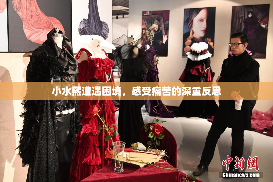 小水熙遭遇困境，感受痛苦的深重反思