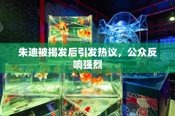 朱迪被揭发后引发热议，公众反响强烈