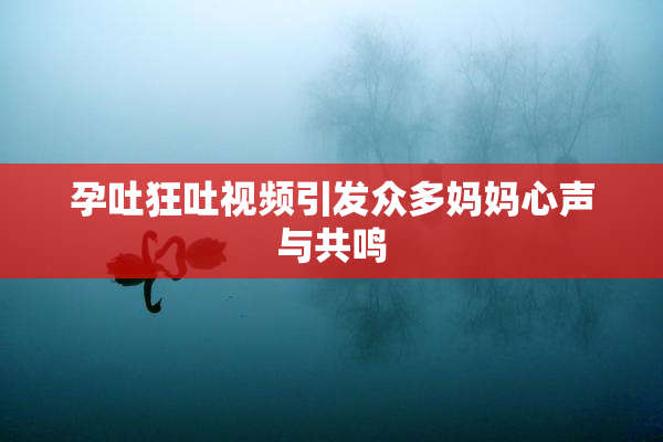 孕吐狂吐视频引发众多妈妈心声与共鸣