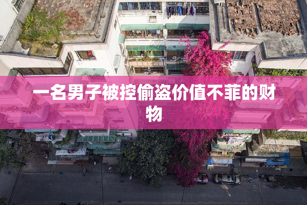 一名男子被控偷盗价值不菲的财物