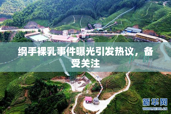 纲手裸乳事件曝光引发热议，备受关注