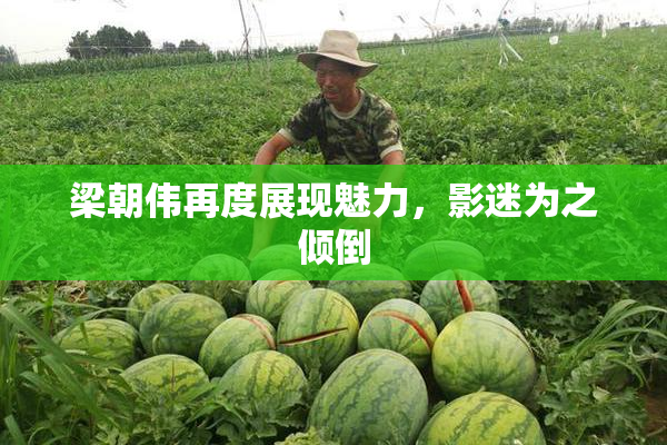 梁朝伟再度展现魅力，影迷为之倾倒