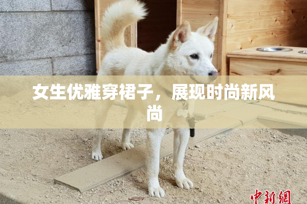 女生优雅穿裙子，展现时尚新风尚