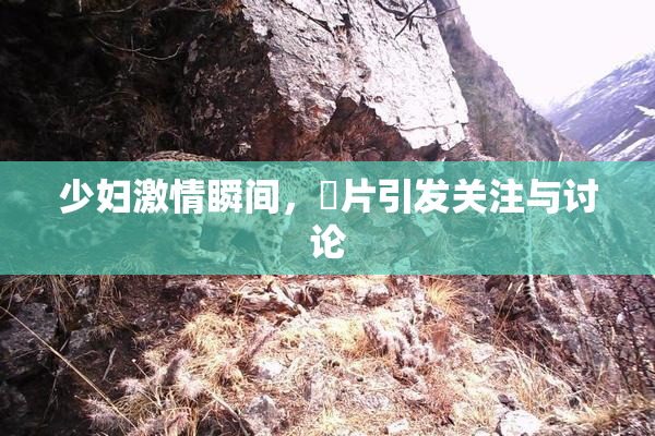 少妇激情瞬间，婬片引发关注与讨论