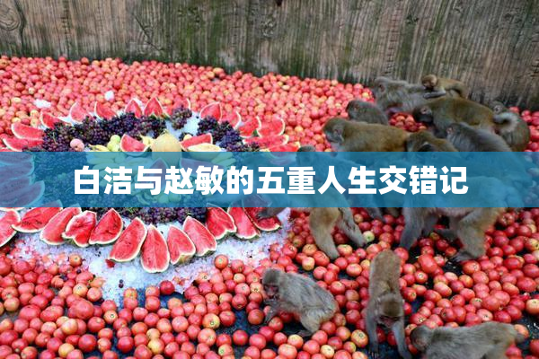白洁与赵敏的五重人生交错记
