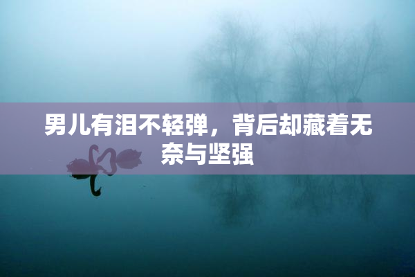 男儿有泪不轻弹，背后却藏着无奈与坚强