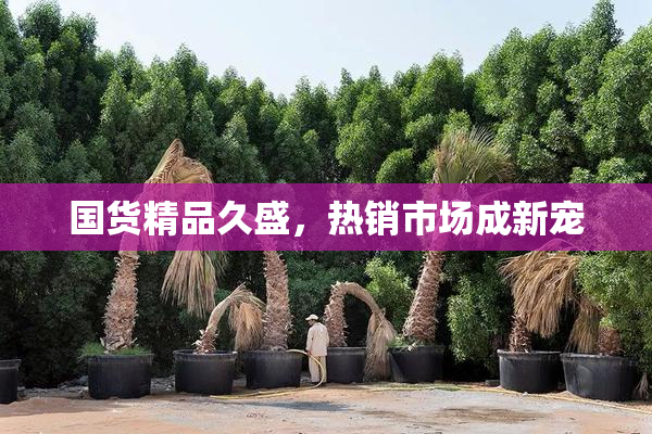 国货精品久盛，热销市场成新宠