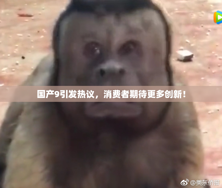 国产9引发热议，消费者期待更多创新！