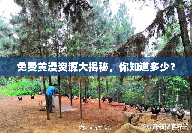 免费黄漫资源大揭秘，你知道多少？